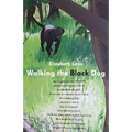 Walking the Black Dog