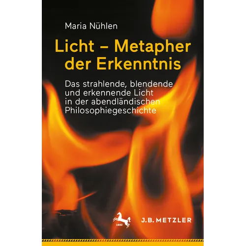 Licht - Metapher Der Erkenntnis: Das Strahlende, Blendende Und Erkennende Licht in Der Abendländischen Philosophiegeschichte
