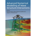 Advanced Numerical Modelling of Wave Structure Interaction