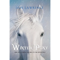 The Winter Pony