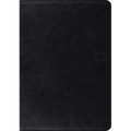 Study Bible-ESV