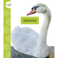 Swans