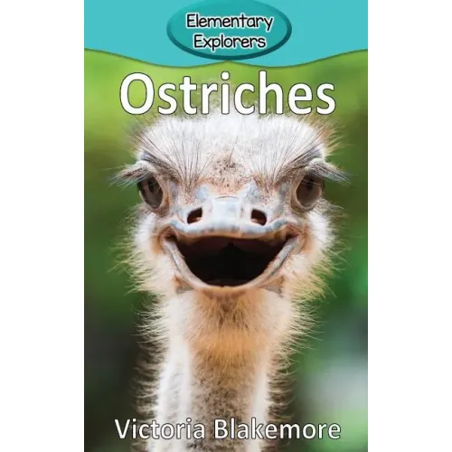 Ostriches