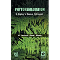 Phytoremediation: A Strategy to clean up Environment