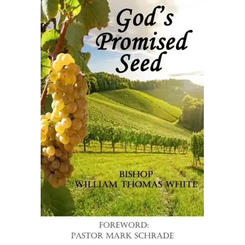 God's Promised Seed: Book Studies of Jesus the Christ