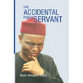 The Accidental Public Servant