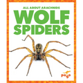 Wolf Spiders