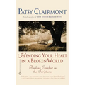 Mending Your Heart in a Broken World: Finding Comfort in the Scriptures