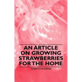 An Article on Growing Strawberries for the Home