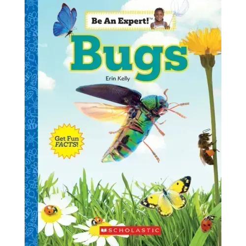 Bugs (Be an Expert!)