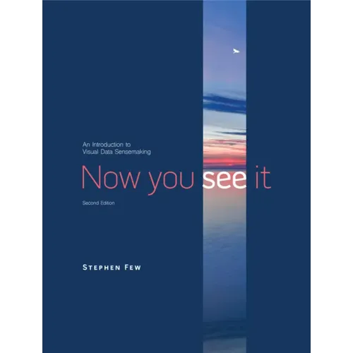 Now You See It: An Introduction to Visual Data Sensemaking