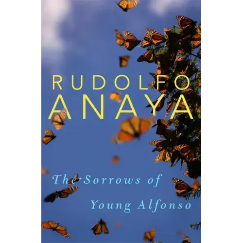 The Sorrows of Young Alfonso: Volume 15