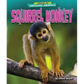 Squirrel Monkey