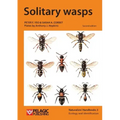 Solitary wasps