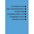 Consensus on Pre-Commissioning Stages for Cogeneration and Combined Cycle Power Plants