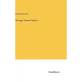 Chicago Census Report