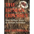 The Human Odyssey: Four Million Years of Human Evolution