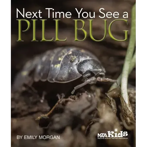 Next Time You See a Pill Bug