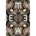 Moth Wing Tea