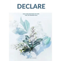 Declare: Daily Declarations of Hope For The Modern Soul
