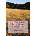Does Jesus Make Sense?: A Layman's Perspective on God Incarnate