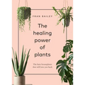 The Healing Power of Plants: The Hero Houseplants That Will Love You Back