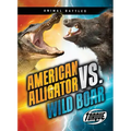 American Alligator vs. Wild Boar