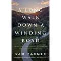 A Long Walk Down a Winding Road: Small Steps, Challenges, and Triumphs Through an Autistic Lens