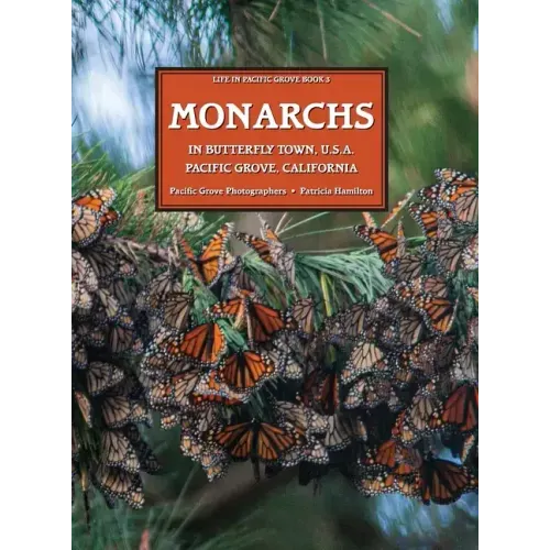MONARCHS In Butterfly Town U.S.A., Pacific Grove, California