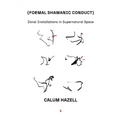 Formal Shamanic Conduct: Zonal Installations in Supernatural Space