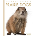 Prairie Dogs
