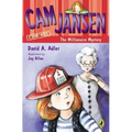 CAM Jansen and the Millionaire Mystery