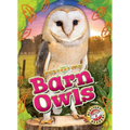 Barn Owls