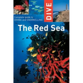 Dive the Red Sea: Complete Guide to Diving and Snorkeling