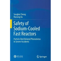 Safety of Sodium-Cooled Fast Reactors: Particle-Bed-Related Phenomena in Severe Accidents