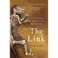 The Link