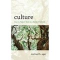 Culture: How to Make It Work in a World of Hybrids