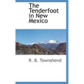 The Tenderfoot in New Mexico