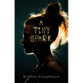 A Tiny Spark