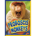 Proboscis Monkeys