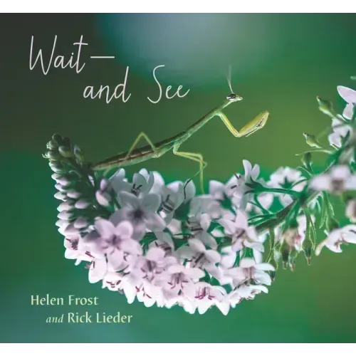 Wait and See