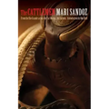 The Cattlemen: From the Rio Grande Across the Far Marias