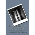 The Shroud of Turin: An Imprint of the Soul, Apparition or Quantum Bio-Hologram