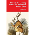Through the Looking Glass, and What Alice Found There