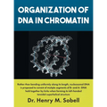 Organization of DNA in Chromatin