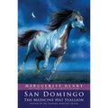 San Domingo: The Medicine Hat Stallion