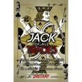 Jack of All Trades: How to Master All Sorts of Skills in Short Amount of Time and Be a Modern Renaissance Person