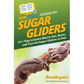HowExpert Guide to Sugar Gliders: 101+ Tips to Learn How to Get, Raise, and Care for Sugar Gliders as Pets