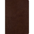 ESV Single Column Journaling Bible, Large Print (Mocha)