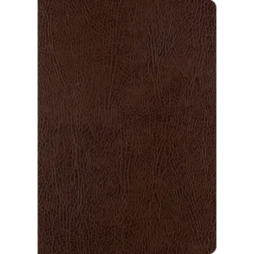 ESV Single Column Journaling Bible, Large Print (Mocha)